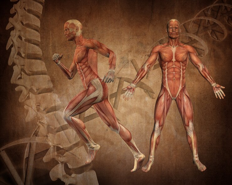COMPREHENSIVE COURSE: ANATOMY AND PHYSIOLOGY